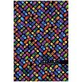 Бележник Bourgeois Hard 22257, 320 л без дати
