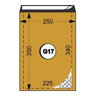 Плик G17